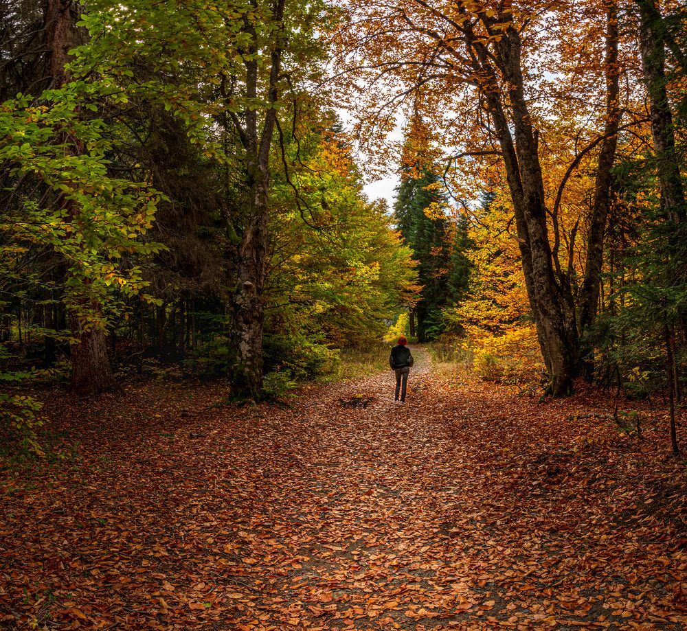 Photograph by Валерий Одинцов