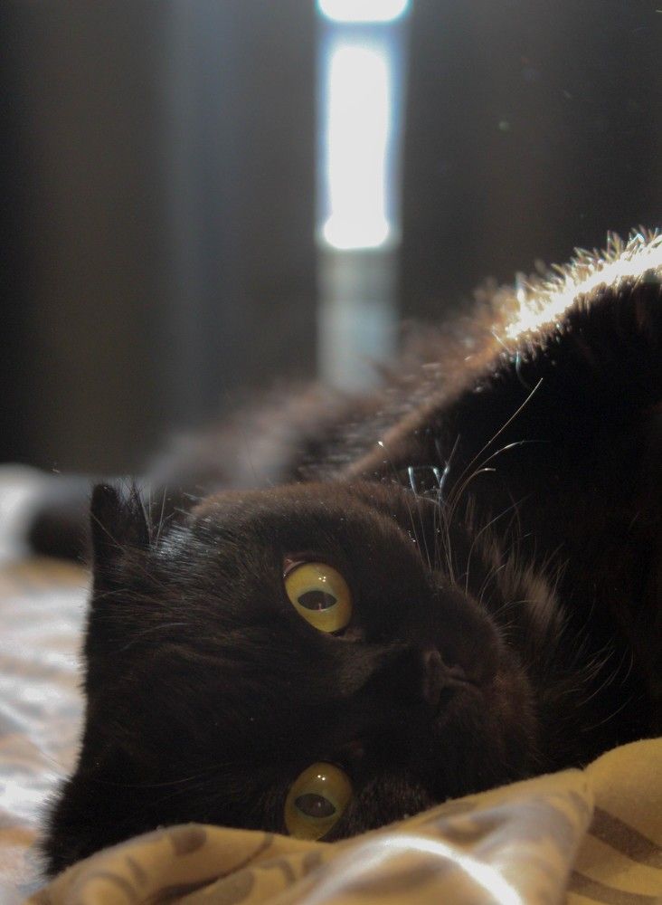 Photograph by Татьяна Пуртова