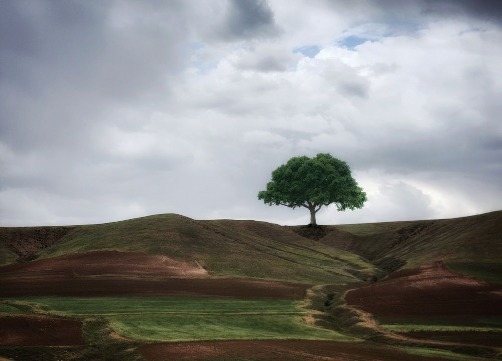 Photograph by reyhane  khavaninzadeh