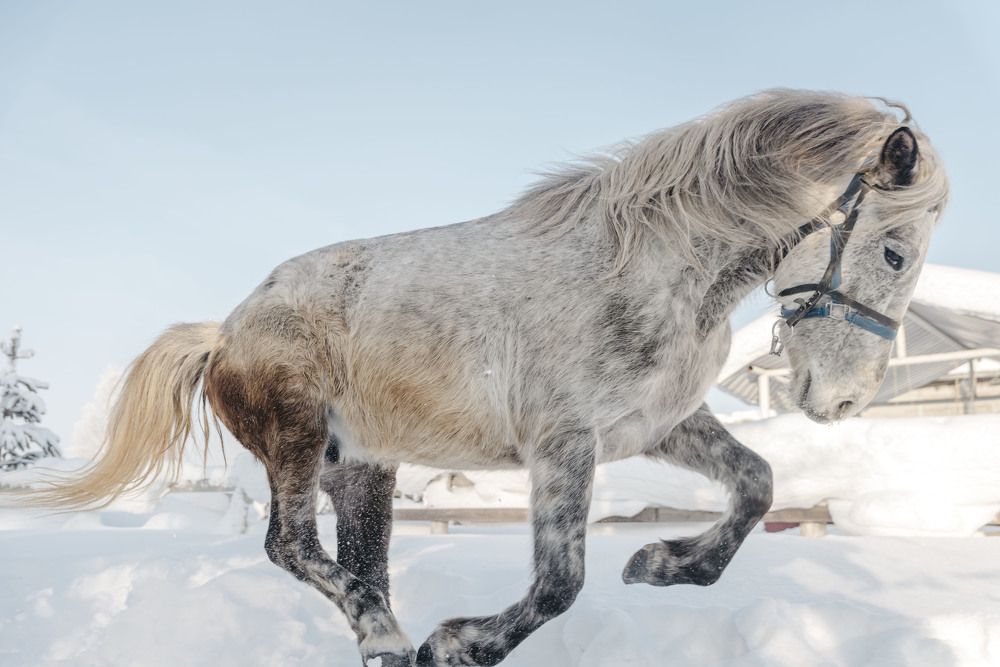 Photograph by Сергей Комаров