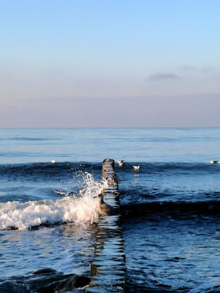 Photograph by Елизавета Лай