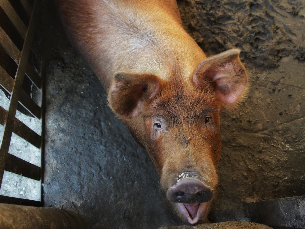 Photograph by Александр Клюев