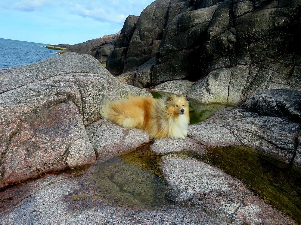 Photograph by Валерия