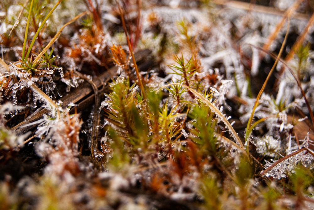 Photograph by Екатерина Бахтинова