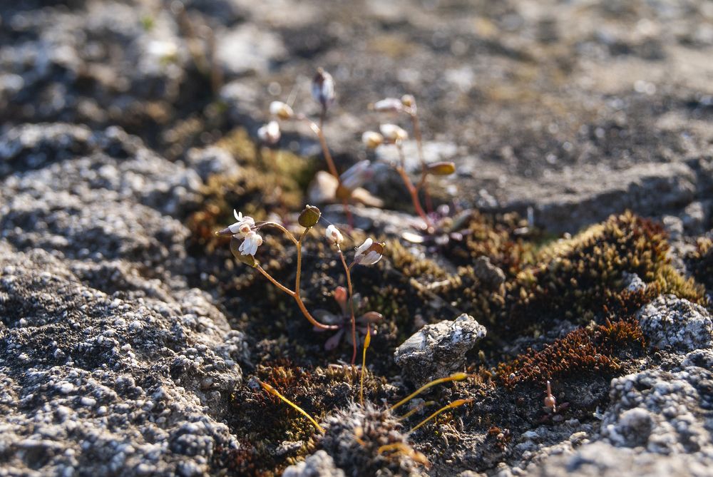 Photograph by Екатерина Бахтинова