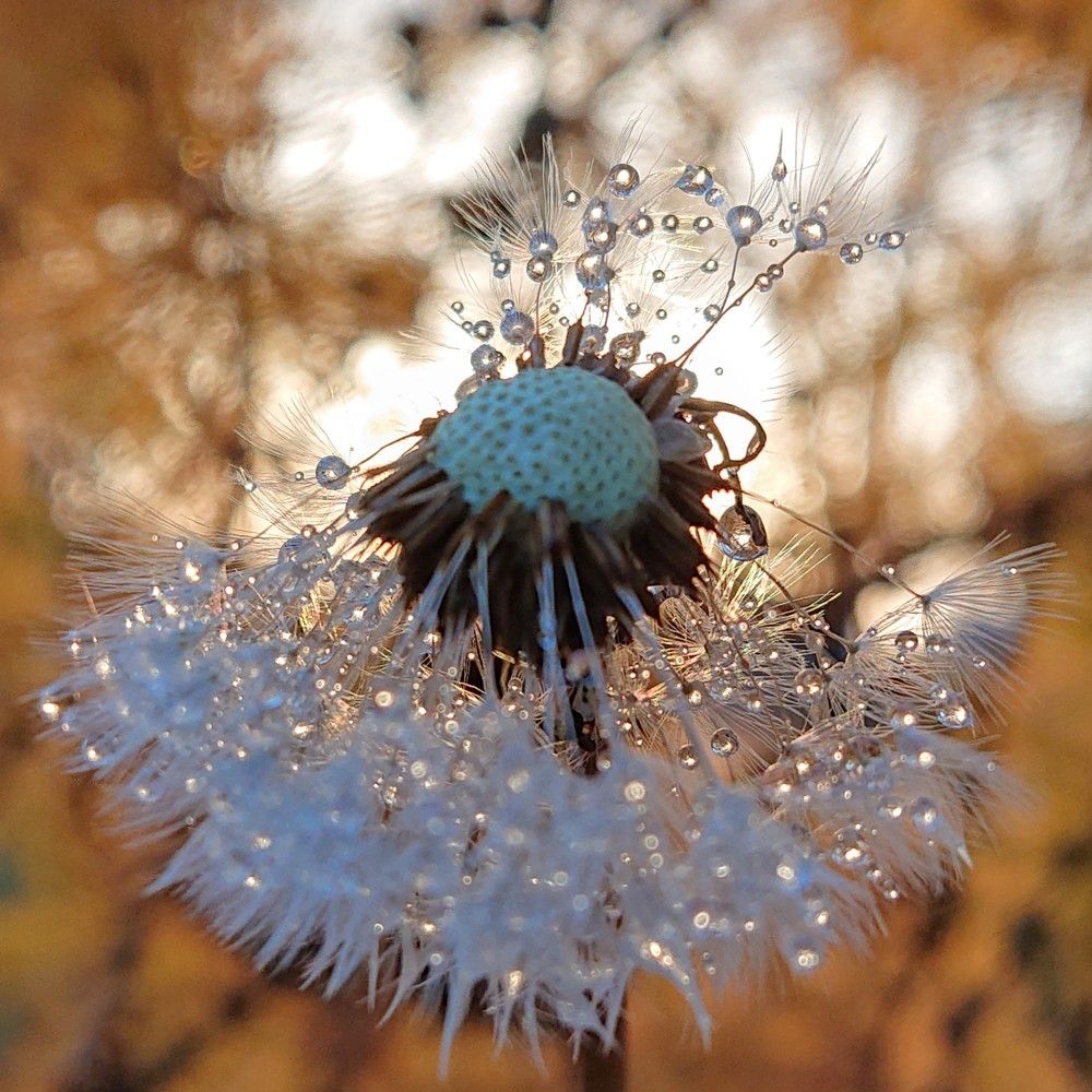 Стойкость...