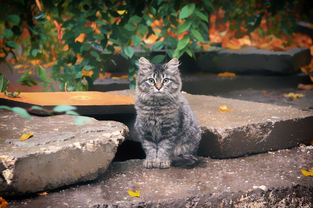 Photograph by Arkhipov