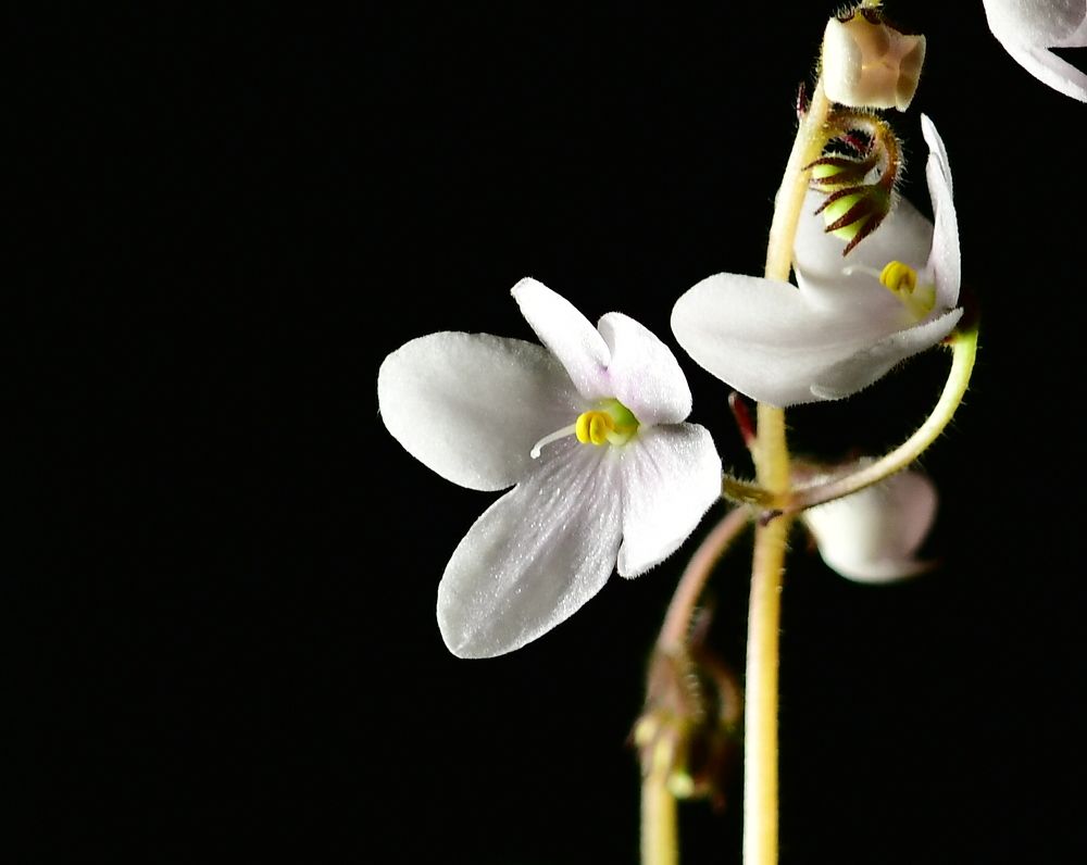 Photograph by Николай Абакумов