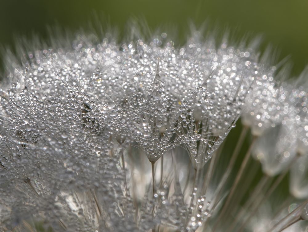 Photograph by Татьяна Феденкова