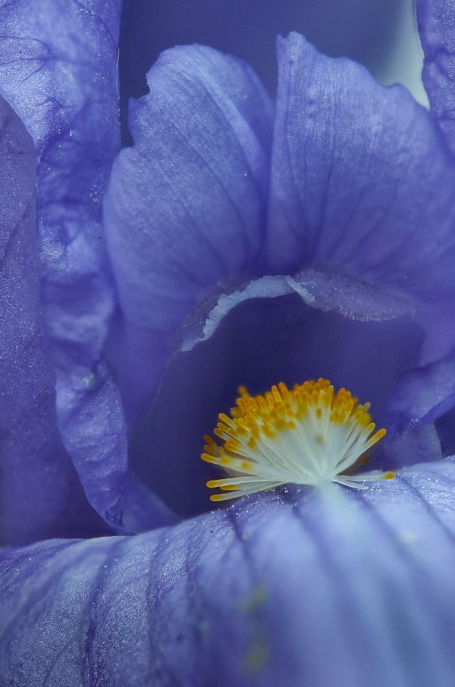 Photograph by Надежда Зайцева