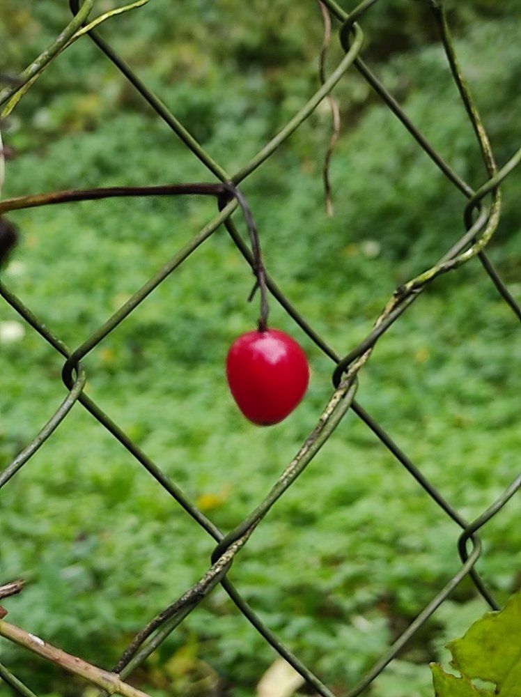 Photograph by Татьяна Солтан