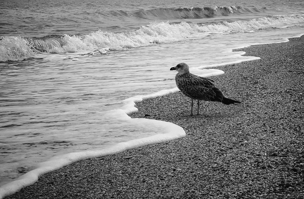 Photograph by Виктория Селютина