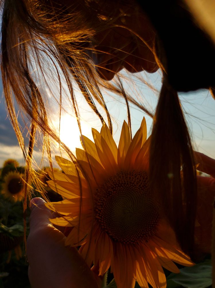 Photograph by Павел Мельников