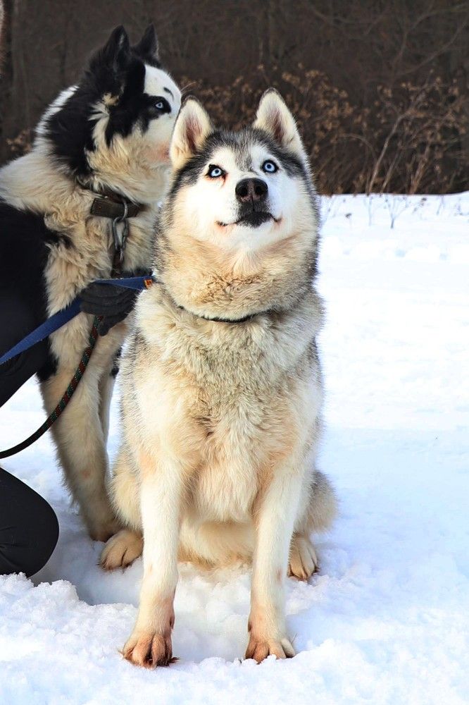 Photograph by Вера Сдвижкова