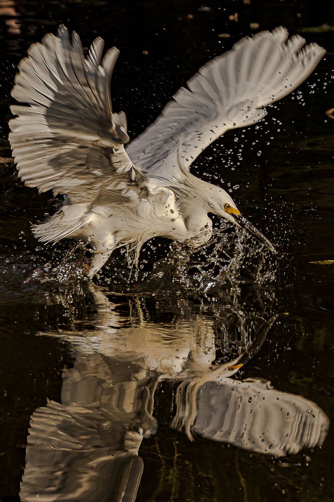 Photograph by Pablo Corengia