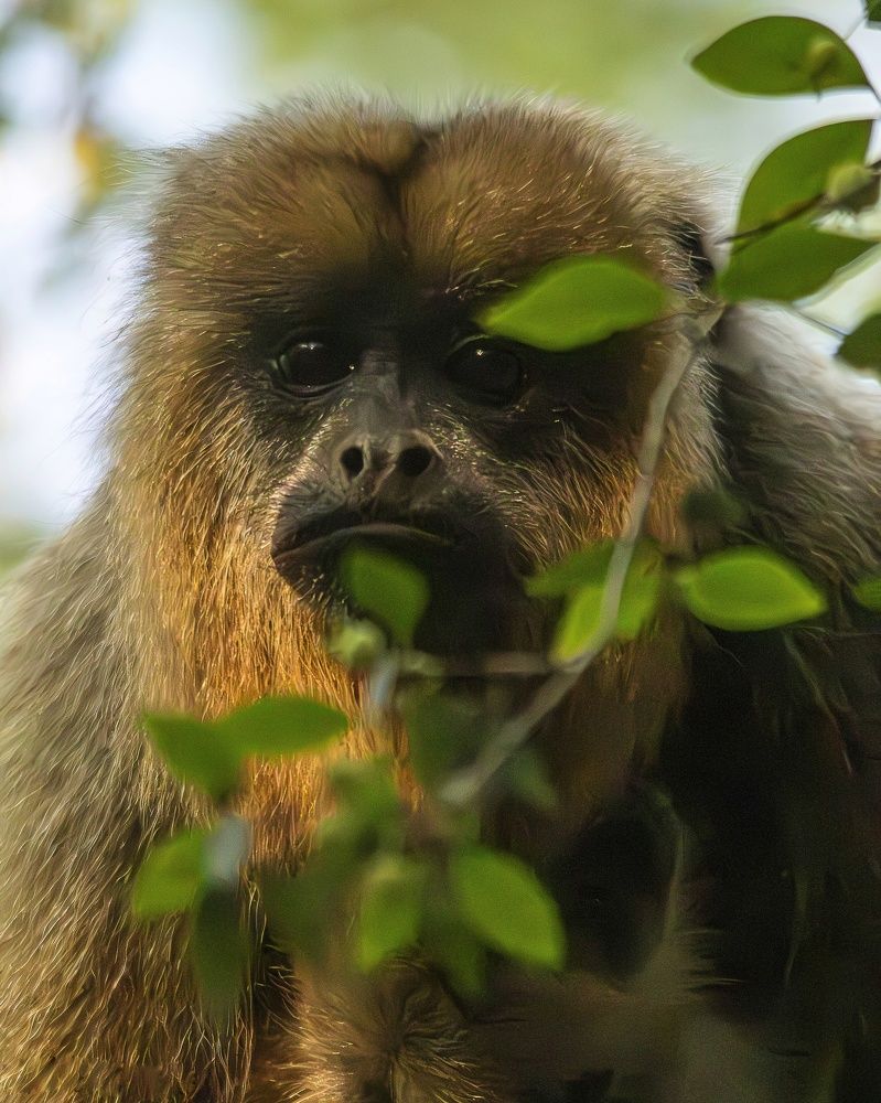 Photograph by Pablo Corengia