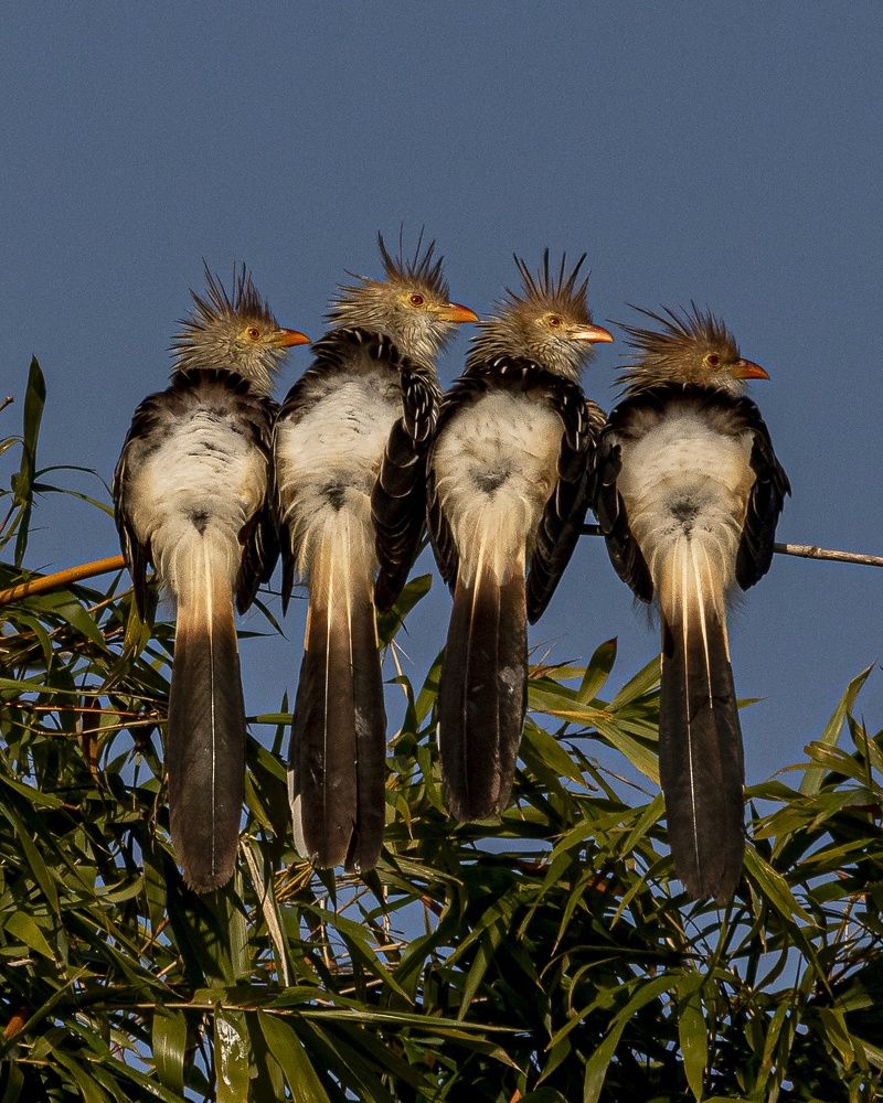 Photograph by Pablo Corengia