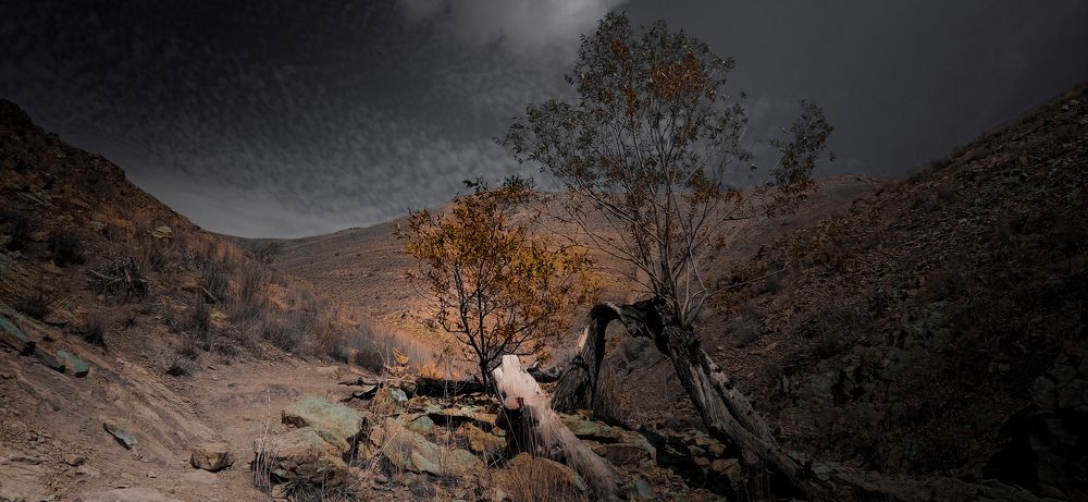 Фотография автора Mahdi Mohammadi