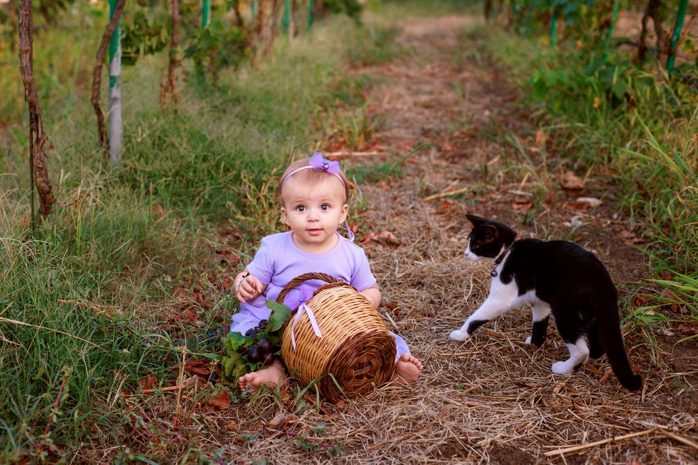 Photograph by Елена Пристайович