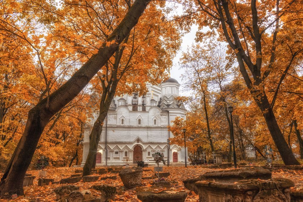 Фотография автора Сережа Сережин