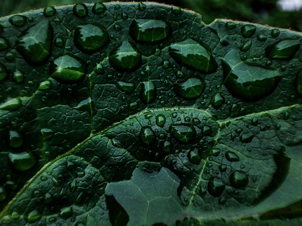 Фотография автора Мария Филиппова