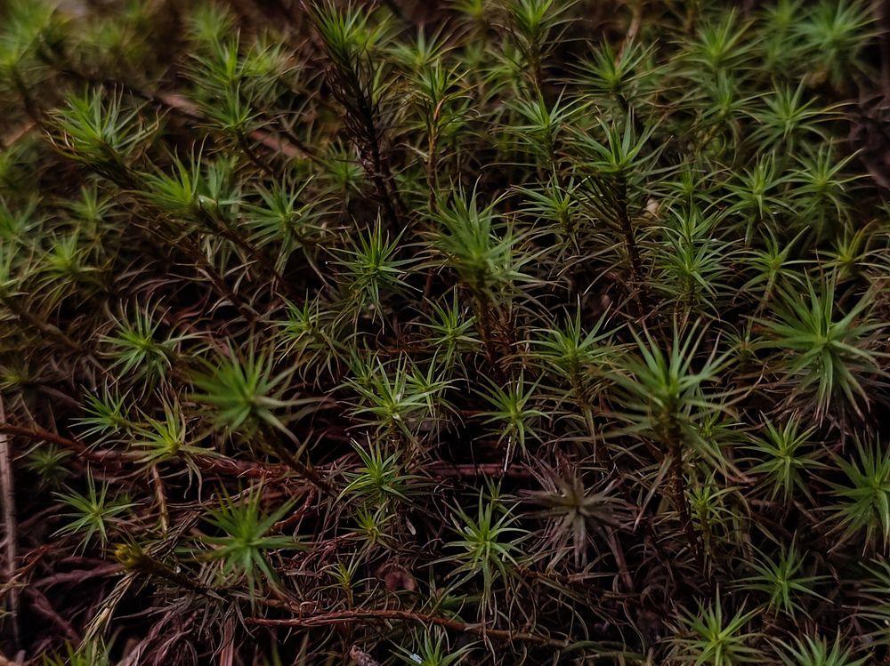 Фотография автора Мария Филиппова