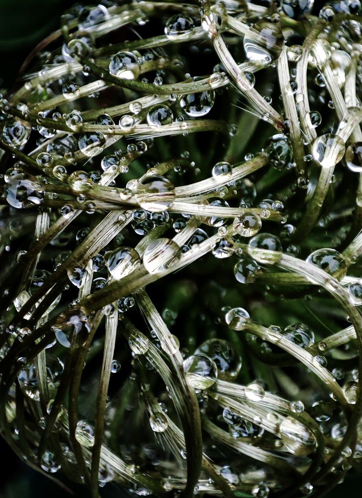 Фотография автора Мария Филиппова