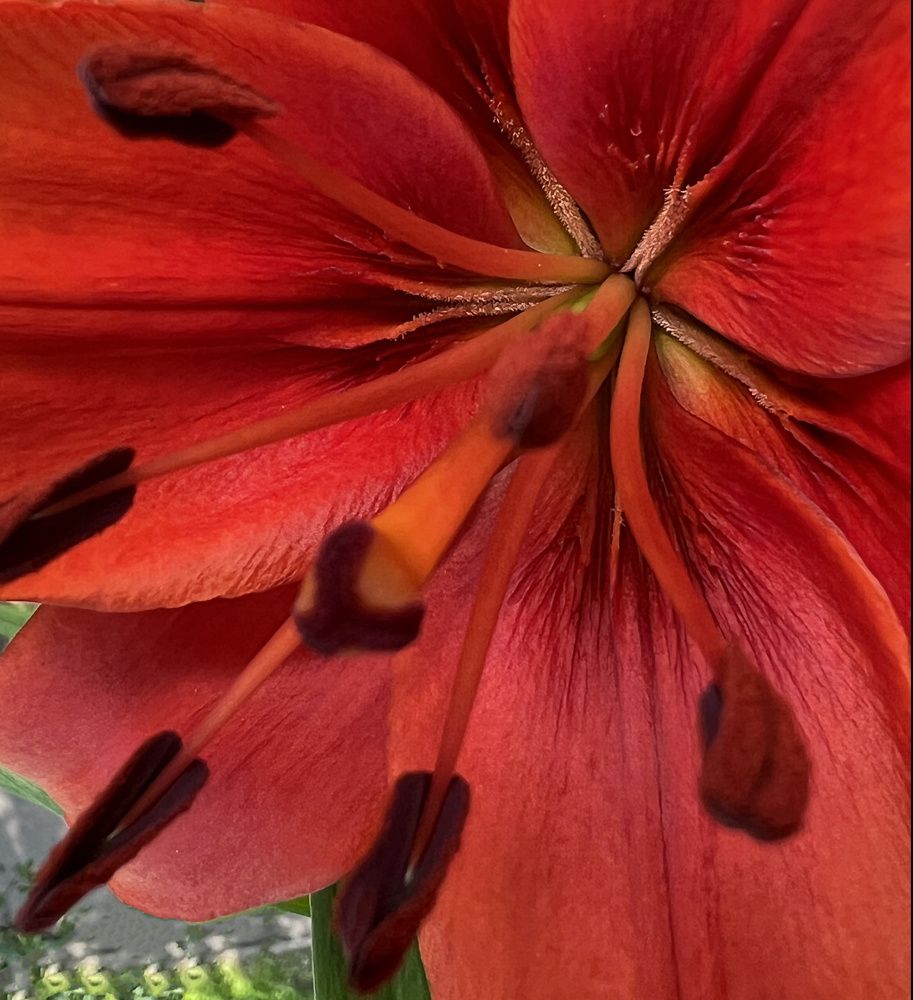 Photograph by Кривицкая Марина