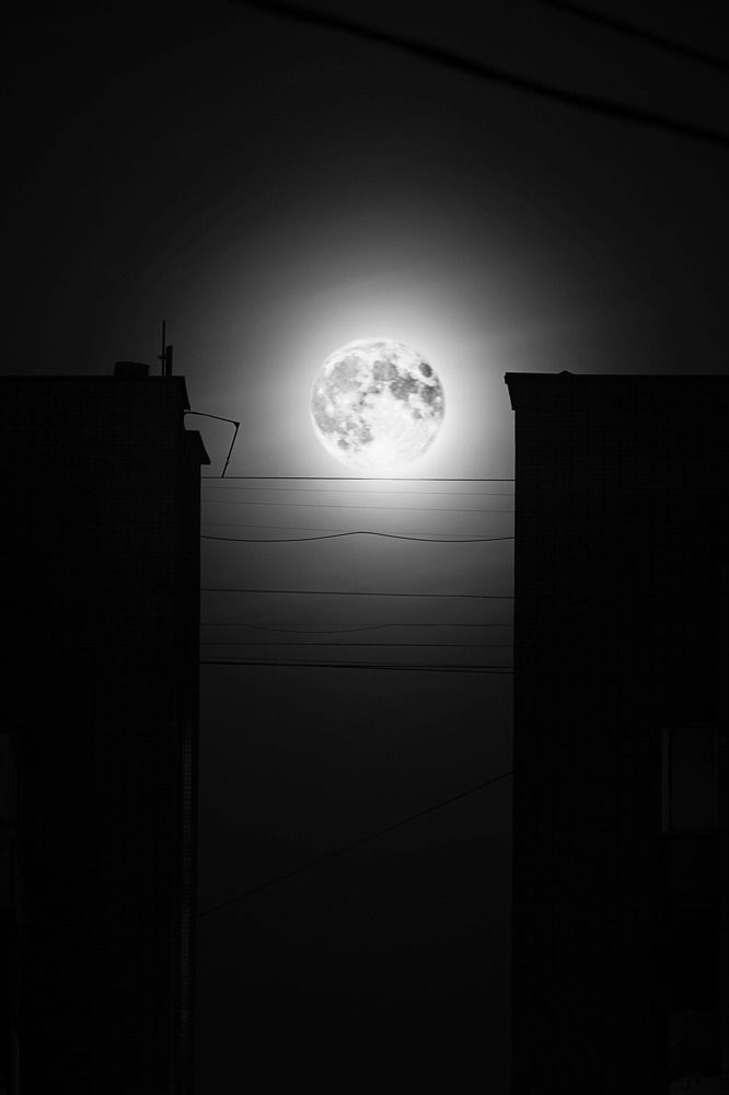 Photograph by Галина Сычева