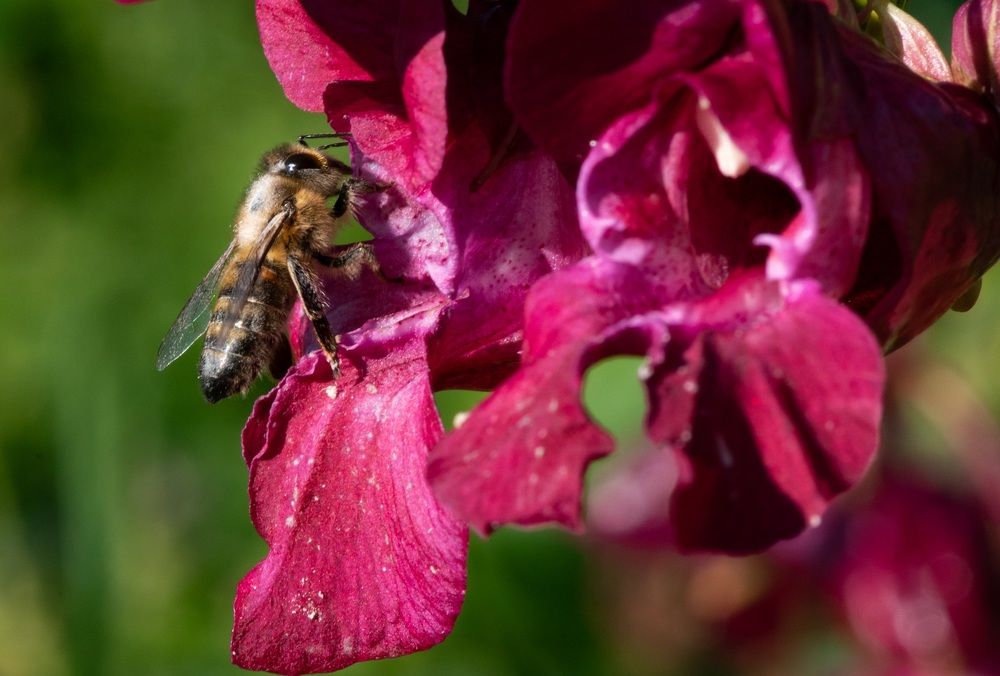 Photograph by Татьяна Шарлап