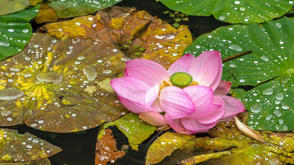 Photograph by константин