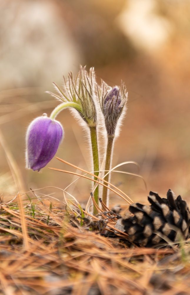 Photograph by Татьяна Шарлап