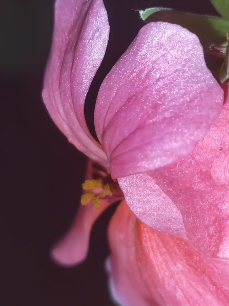 Фотография автора Bernadette Pretorius