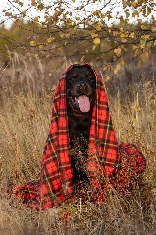 Photograph by Марина Виноградова