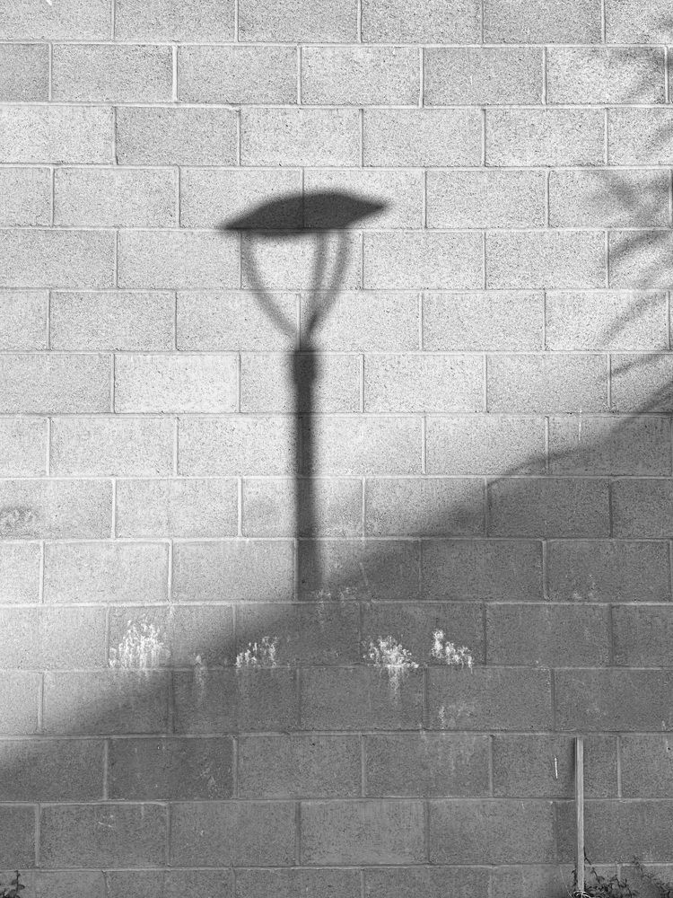 Photograph by Стасия