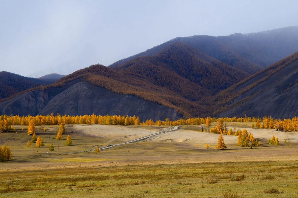 Photograph by Марина Корреа Ластра