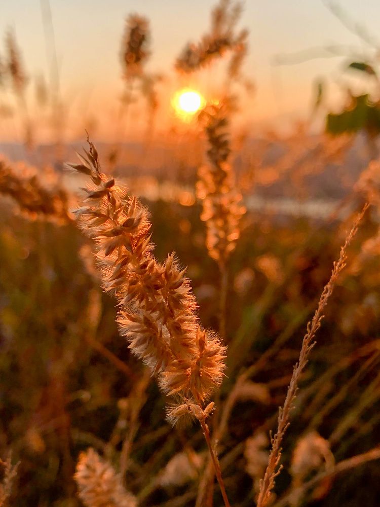Фотография автора Светлана