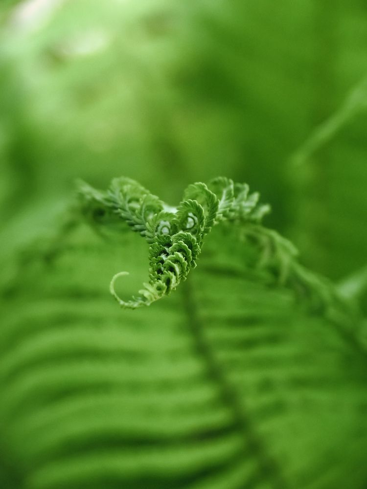 Photograph by Светлана Шибаршина