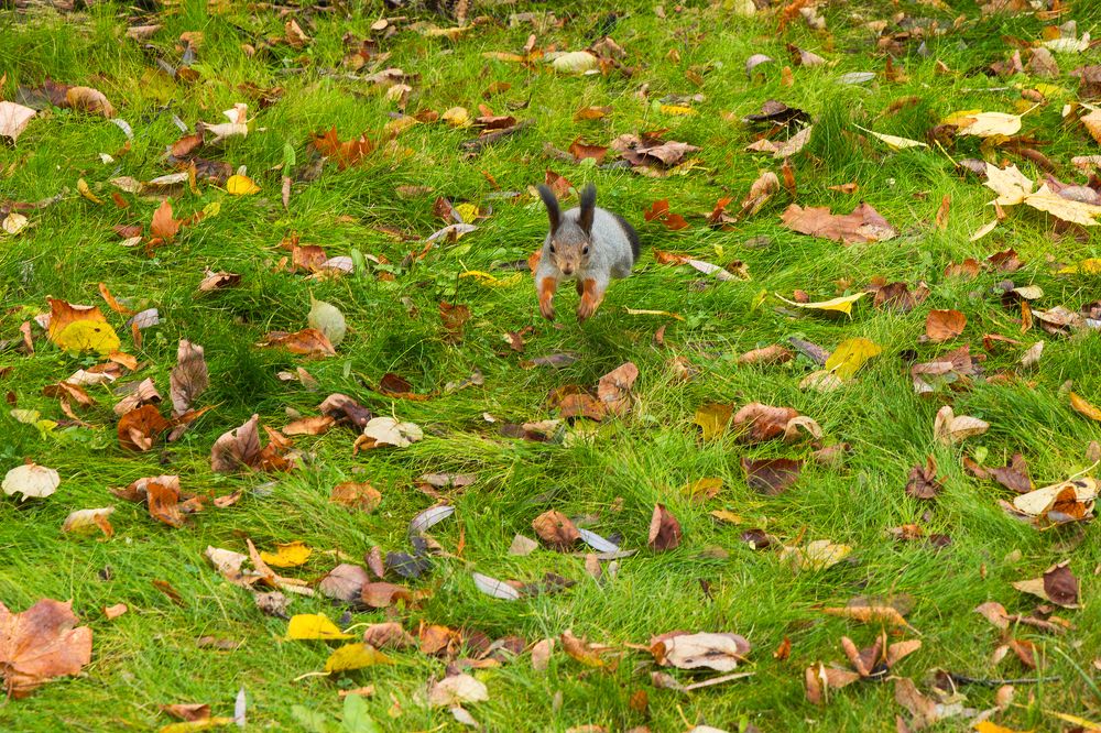 Photograph by Timofey Ovchinnikov