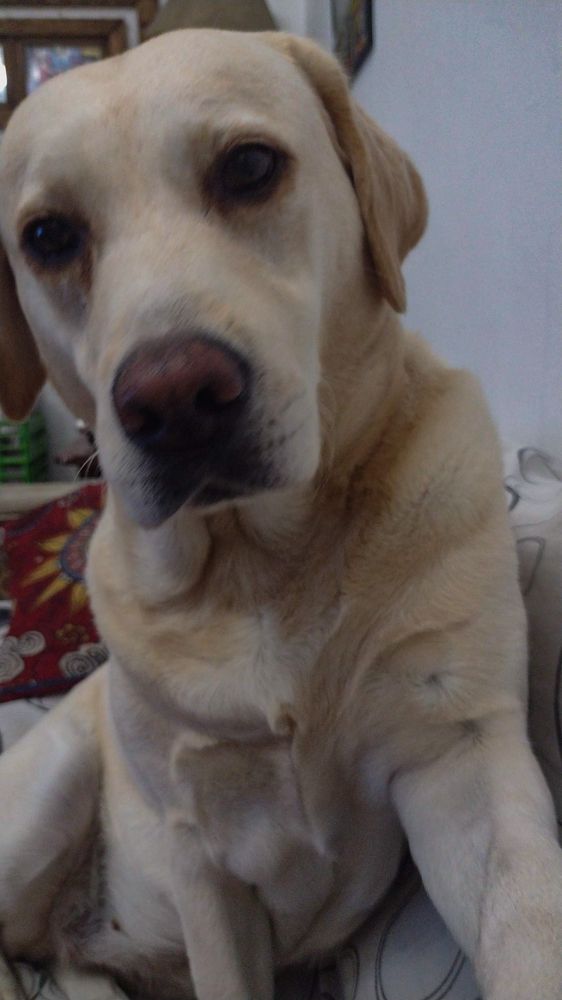 Photograph by Maria julieta ZURZOLO