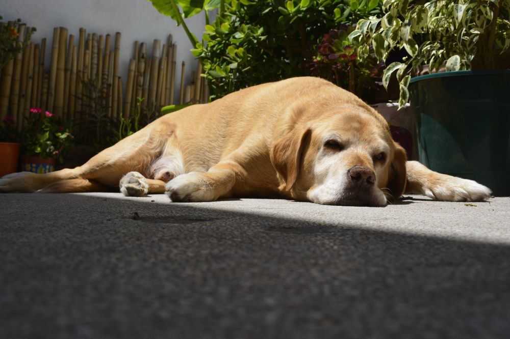 Photograph by Maria julieta ZURZOLO