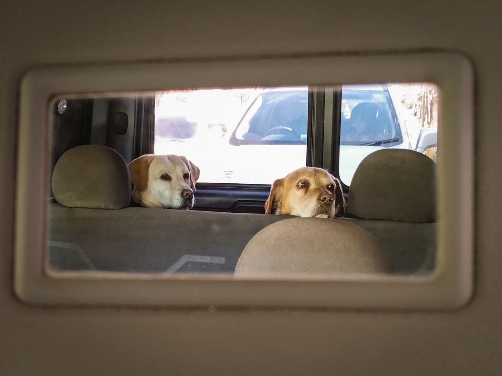 Photograph by Maria julieta ZURZOLO