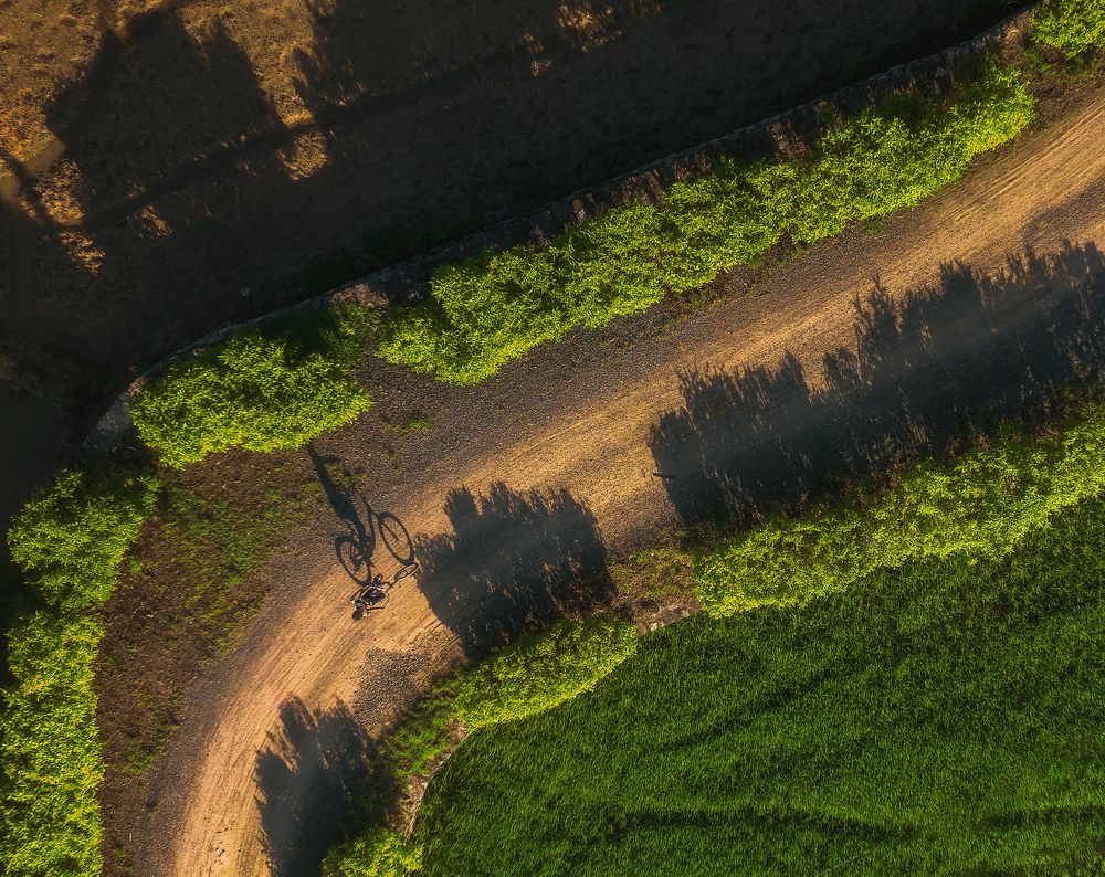 Morning on the country road