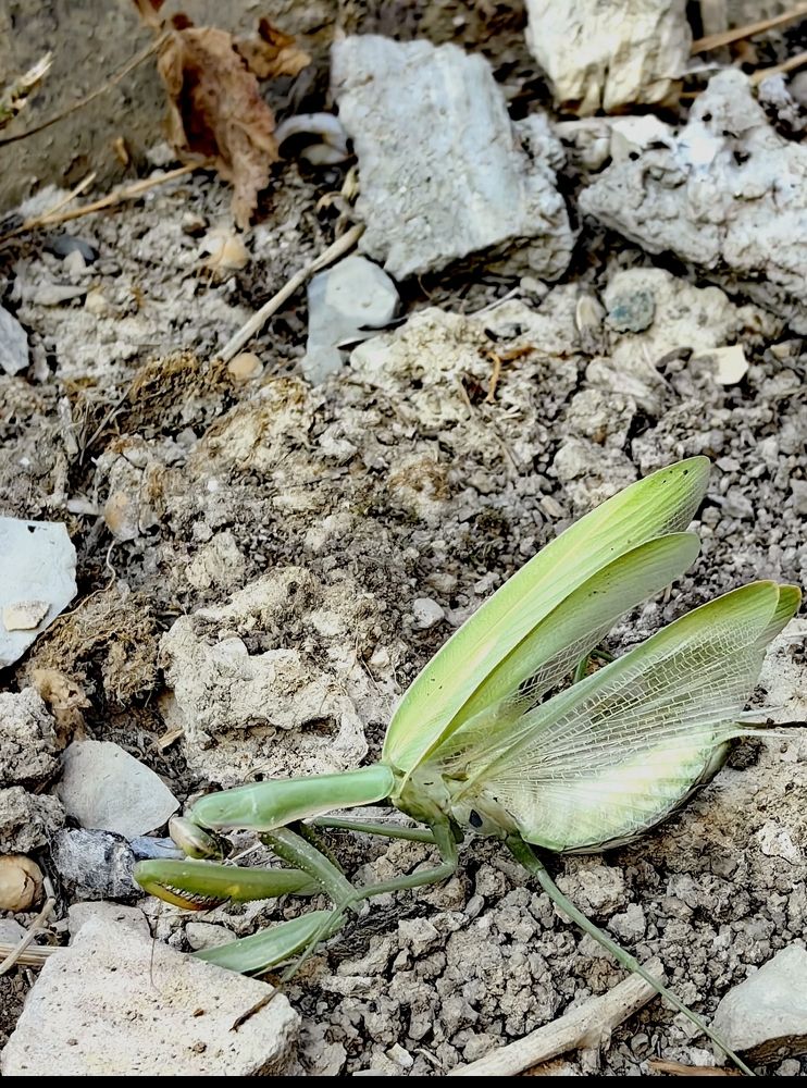 Photograph by Ирина Тихая