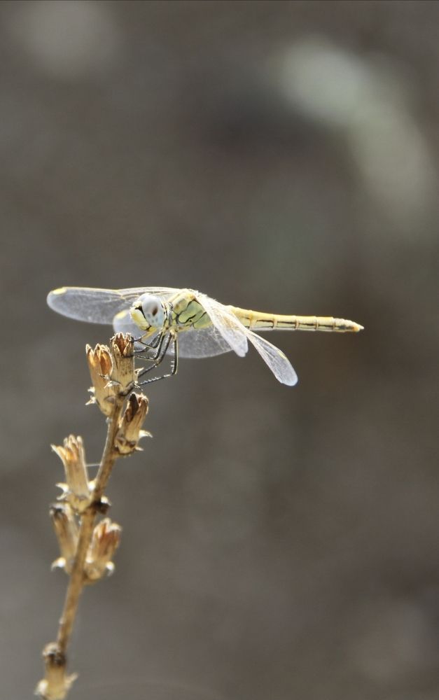 Photograph by Ирина Тихая