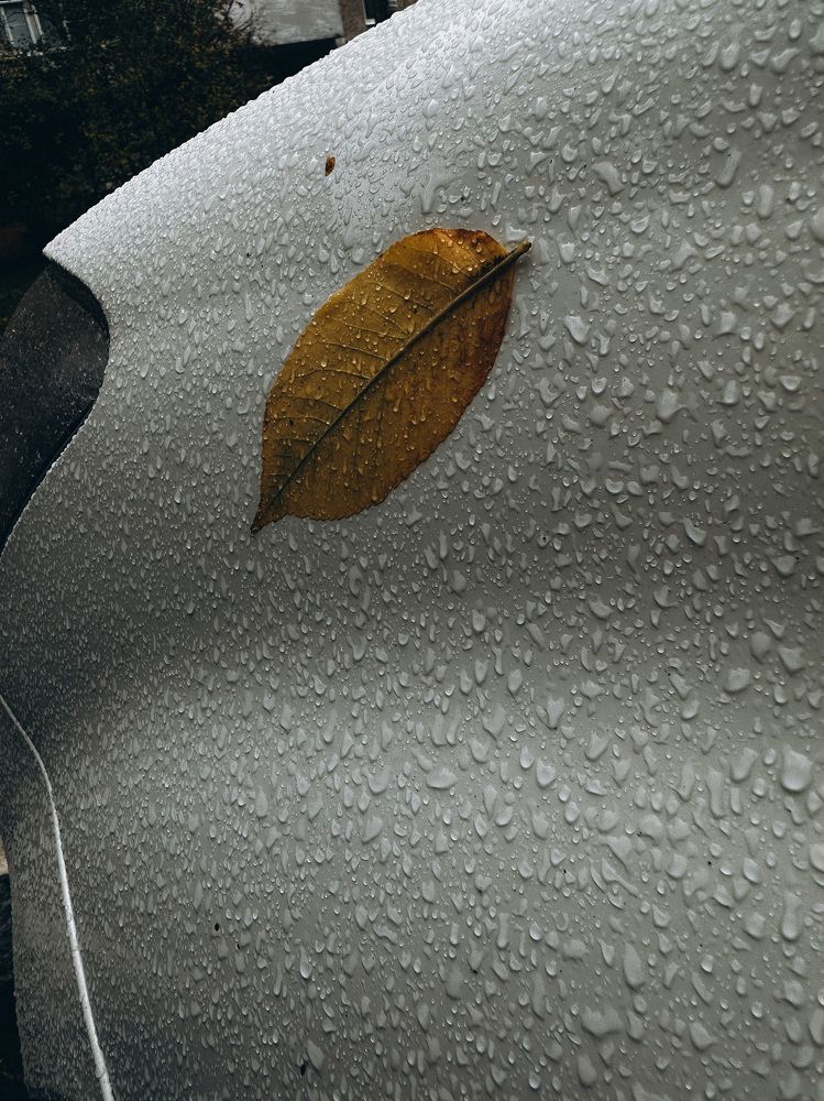 Photograph by Maria Kurakhtanova