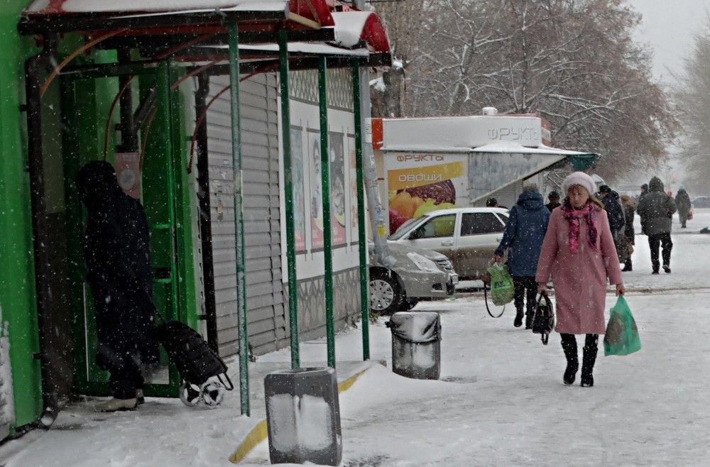 Photograph by Александр Подгорный