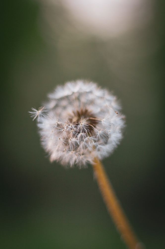 Photograph by Елена Шихалева