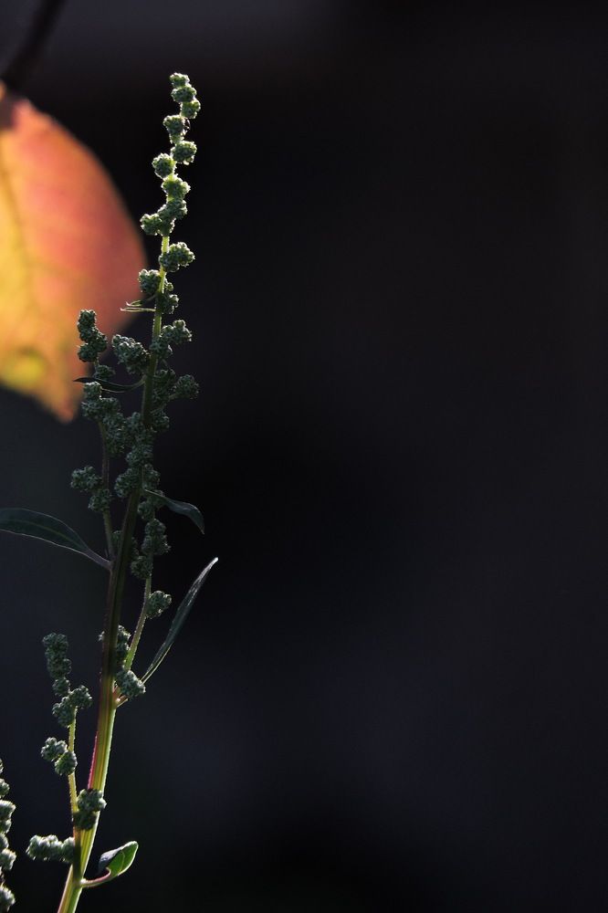 Photograph by Анна