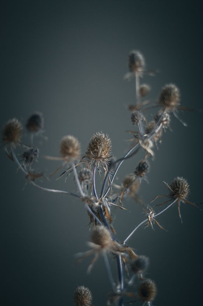 Photograph by Елена Шихалева